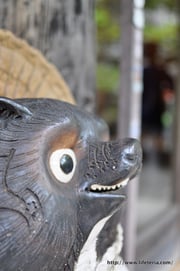 LifeTeria blog ブログ