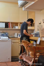 LifeTeria blog ブログ　新東記