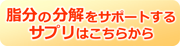 脂肪分解系ダイエットサプリ