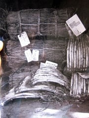 東郷平八郎が送った時の写真