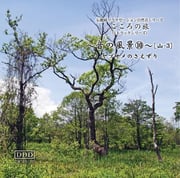 ⑩《ヤブサメのさえずり》