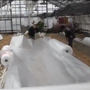 緩衝封筒シリーズ