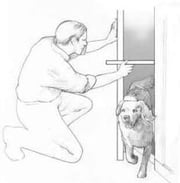 Measure Twice, Cut Once!