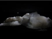 名和晃平　フォーム　２０１３