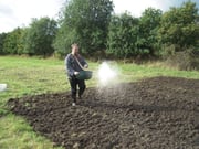 Aussäen der mit Roggenschrot gestreckten Saatmischung.