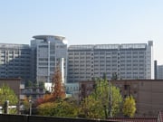 保釈による身体拘束からの解放