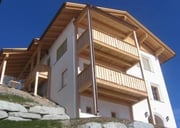 Farbloser Holzschutz