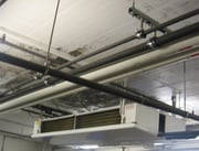 Anti-Schimmelfarbe für innen.