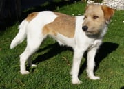 ne, ich brauche heute nicht den ganzen Garten, nur ein ruhiges Eckcken...