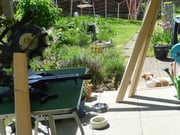 Wurzel ist dabei allerdings keine grosse Hilfe...