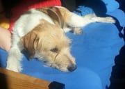 auch schön, auf dem Bett in der warmen Morgensonne...