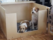 und endlich können wir auch die Wurfkiste, die mein Sohn gebaut hat, gebührend einweihen und aufstellen...