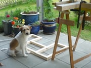 wozu das alles? fragt sie und legt sich danach wieder in die Sonne...