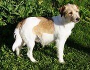 Huch, die Sonne scheint!