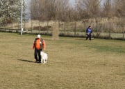 Rendezvousberg 01.11.2010