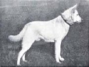 Berno von der Seewiese