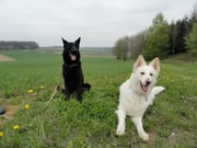 Kirchstetten 23.04.2010