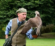 Kurt Hartmann - "Auge in Auge"