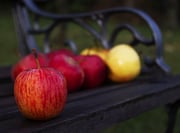 Christina Holm - "Herbstapfel"