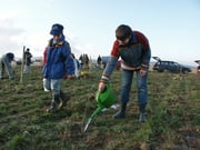 Pflanzung der Feldholzinsel am Hinkelstein