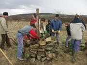 Anlegen eines Lesesteinhaufens für Eidechsen auf der Lehmkaute