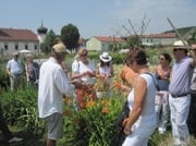 Sommerausflug in die Wachau