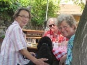 Sommerausflug in die Wachau