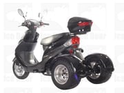 ROAD RUNNER (PST50-4)