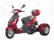 ROAD RUNNER (PST50-4)