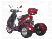 ROAD RUNNER (PST50-4)