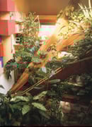 « Atelier-Résidence Amsterdam » Résidence, décembre 1990 / janvier 1991 - texte Titia Mulders, photos Martin Paternotte