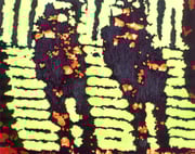 Aus der Reihe "Geschichten ohne Handlung", fortlaufende Serie, ÖL/Acryl auf Leinwand, 40 x 50 cm