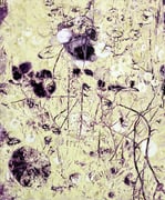 Heidberg. Gewächs 4, 2015, Öl auf Leinwand, 90 x 75 cm