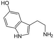 Sérotonine
