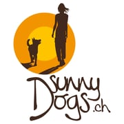 Die etwas andere Hundeschule