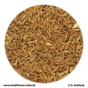 Anis (Anisi fructus)