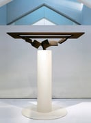 Metamorphosis - water surface (minamo) (M31)   / H.185x180x110cm / mild steel / 2010*