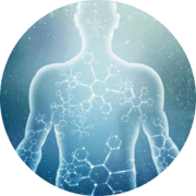 Gesunde Zellen – gesunder Körper