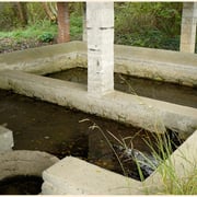 Photo ©Marie Hélène CINGAL - 2010