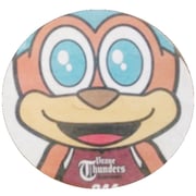 Bリーグ 川崎ブレイブサンダースさま