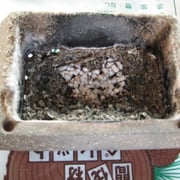 燃焼皿に詰まったクリンカー