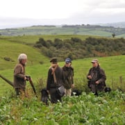 Besprechung wo es noch Fasane haben könnte
