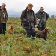 Brav Fuss Kiri - Jamie sieht alles......