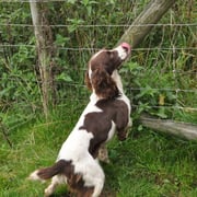 unsere beste Helferin