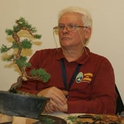 Maurizio scuta la pianta...