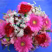 商品番号：HA-3　　商品名：母の日用アレンジメント　　3,000円（税込）