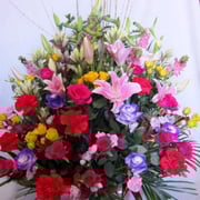 商品番号：A-10　　商品名：アレンジメント　　10,000円（税込）