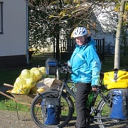 Sehen wir in allen Dörfern: Chabisköpfe zum Verkauf, ca. 10 kg für Fr. 4.-