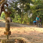 Die Schotterstrasse durch den Wald ist ein echter Leckerbissen.