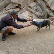 Die beiden Wanderführer von TimeforNature Fuerteventura